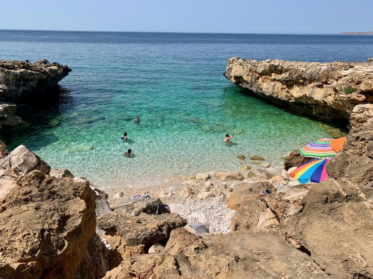 L'Oasi Una Pineta Sul Mare Custonaci Bagian luar foto