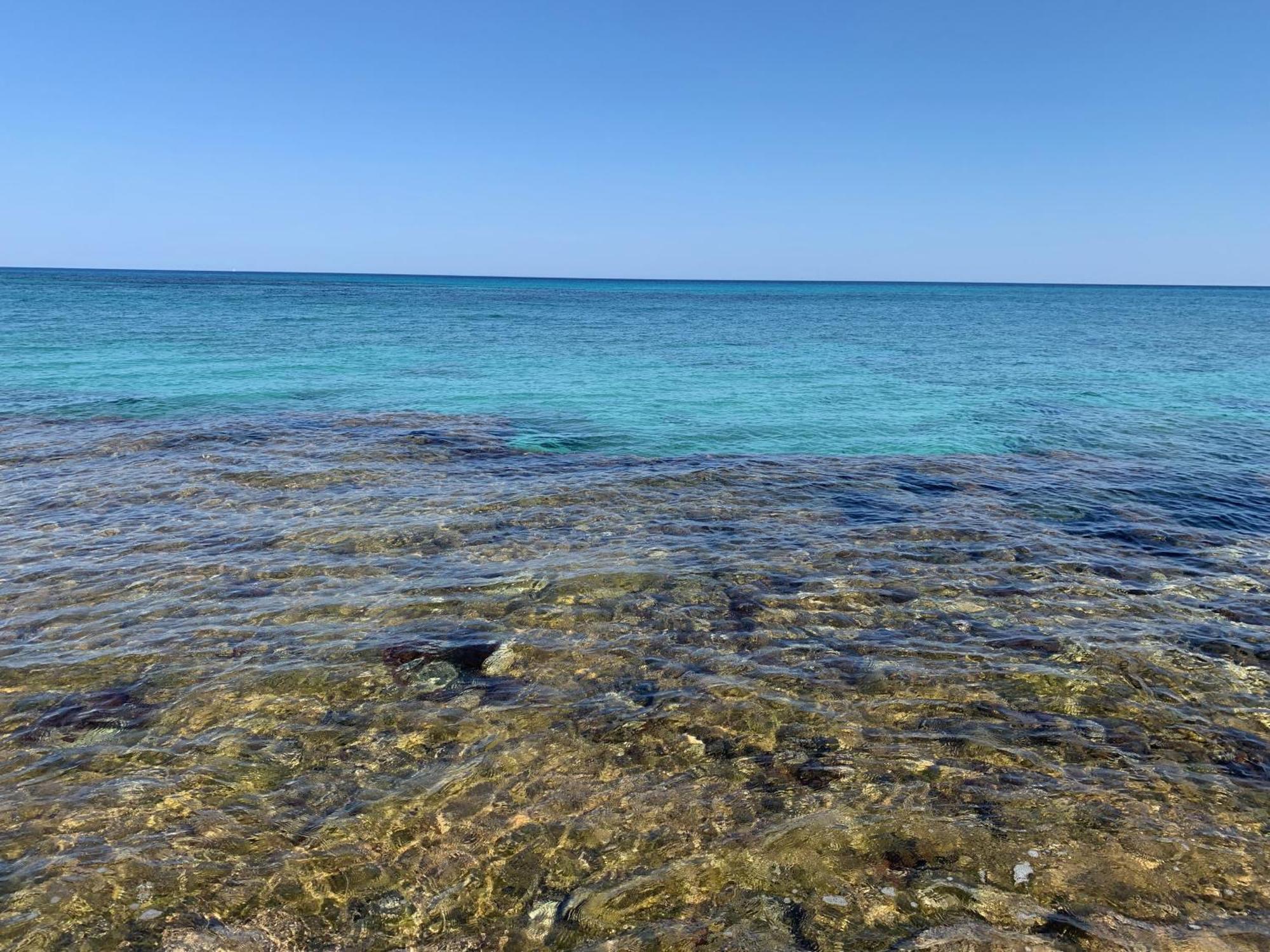 L'Oasi Una Pineta Sul Mare Custonaci Bagian luar foto