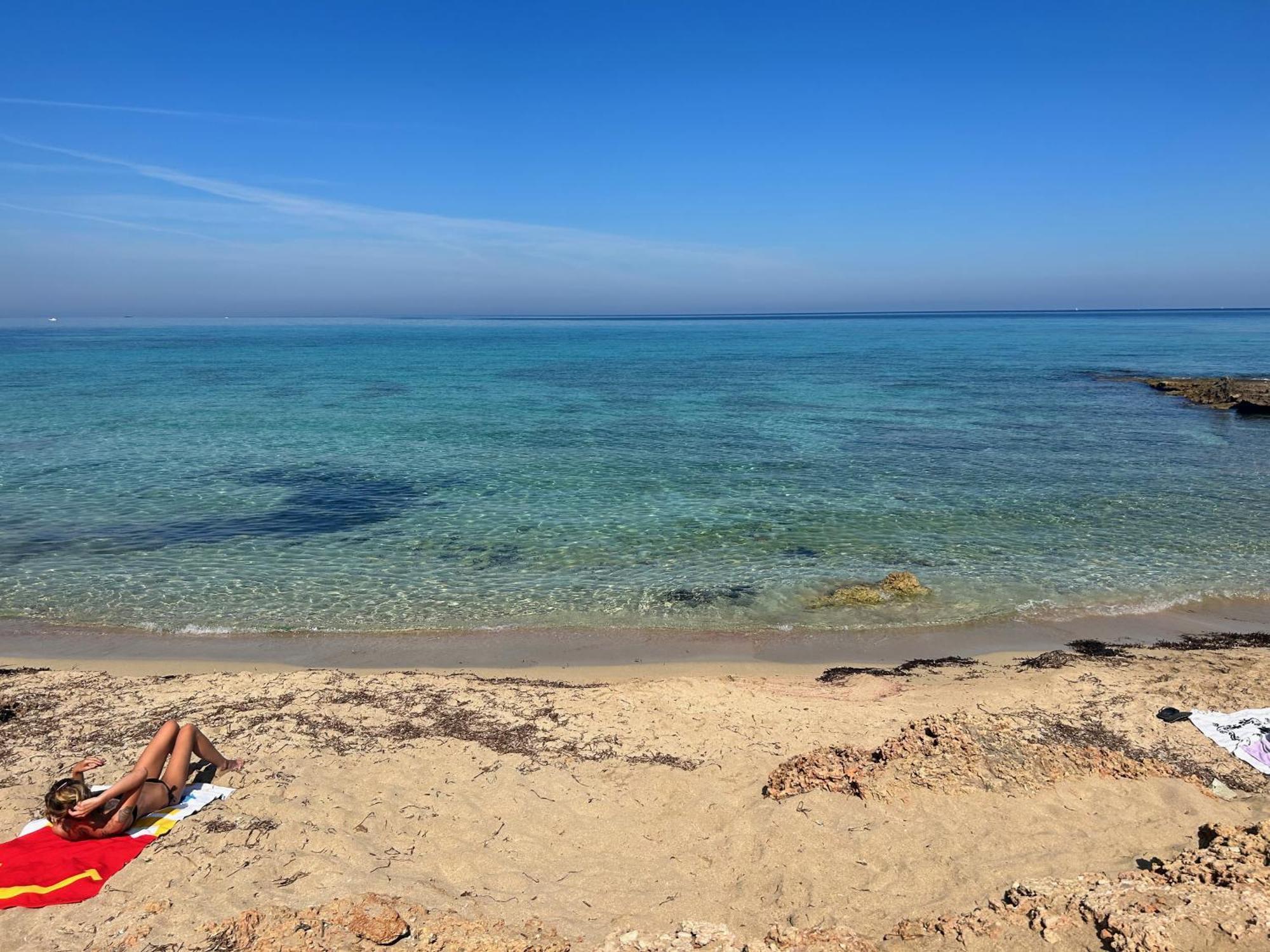 L'Oasi Una Pineta Sul Mare Custonaci Bagian luar foto