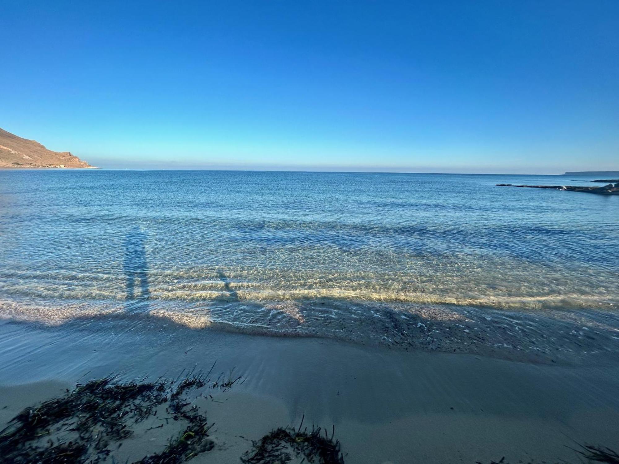 L'Oasi Una Pineta Sul Mare Custonaci Bagian luar foto