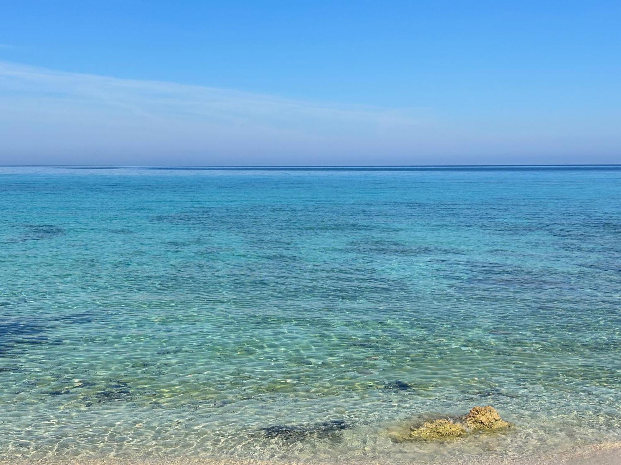 L'Oasi Una Pineta Sul Mare Custonaci Bagian luar foto