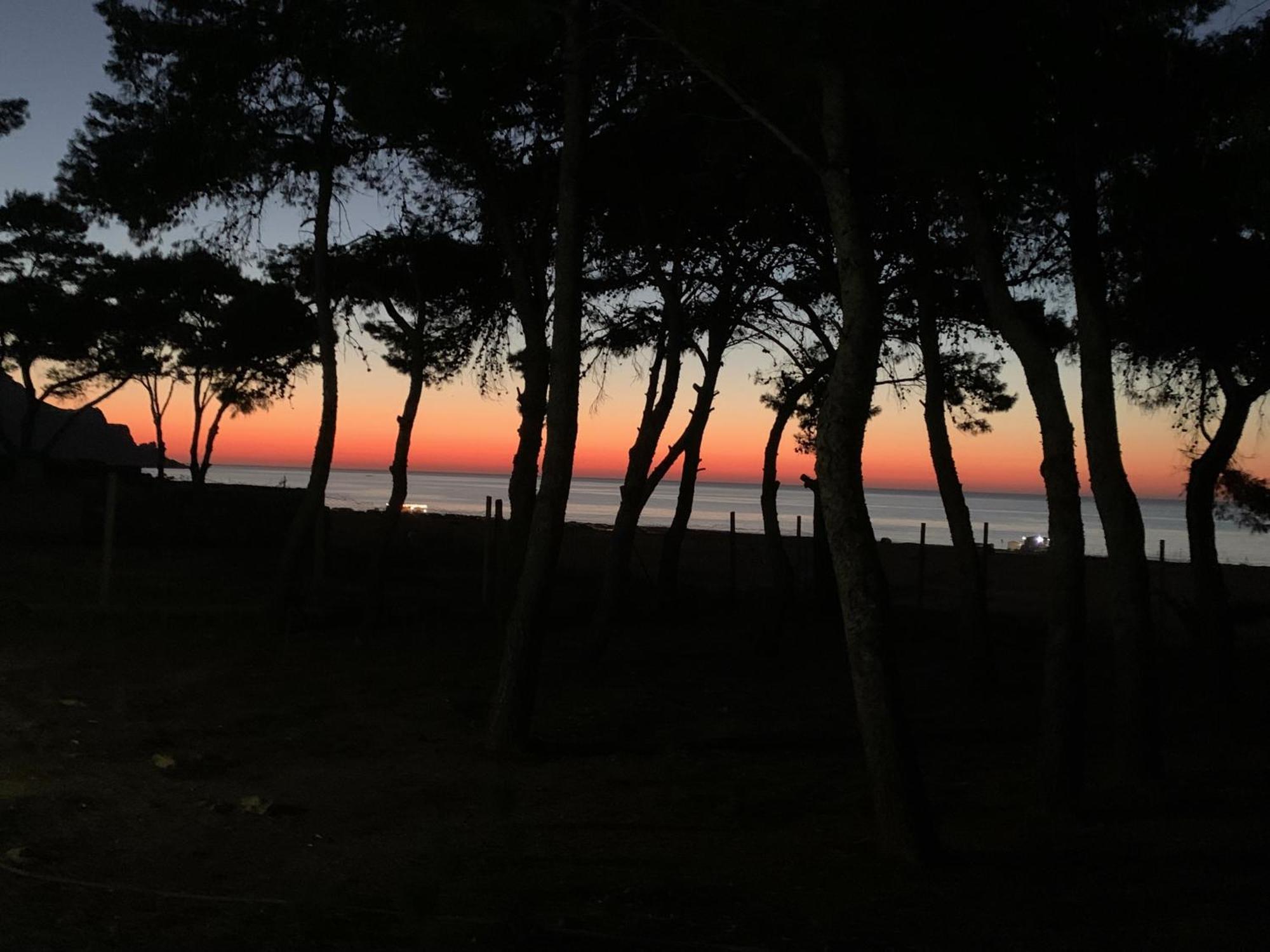 L'Oasi Una Pineta Sul Mare Custonaci Bagian luar foto
