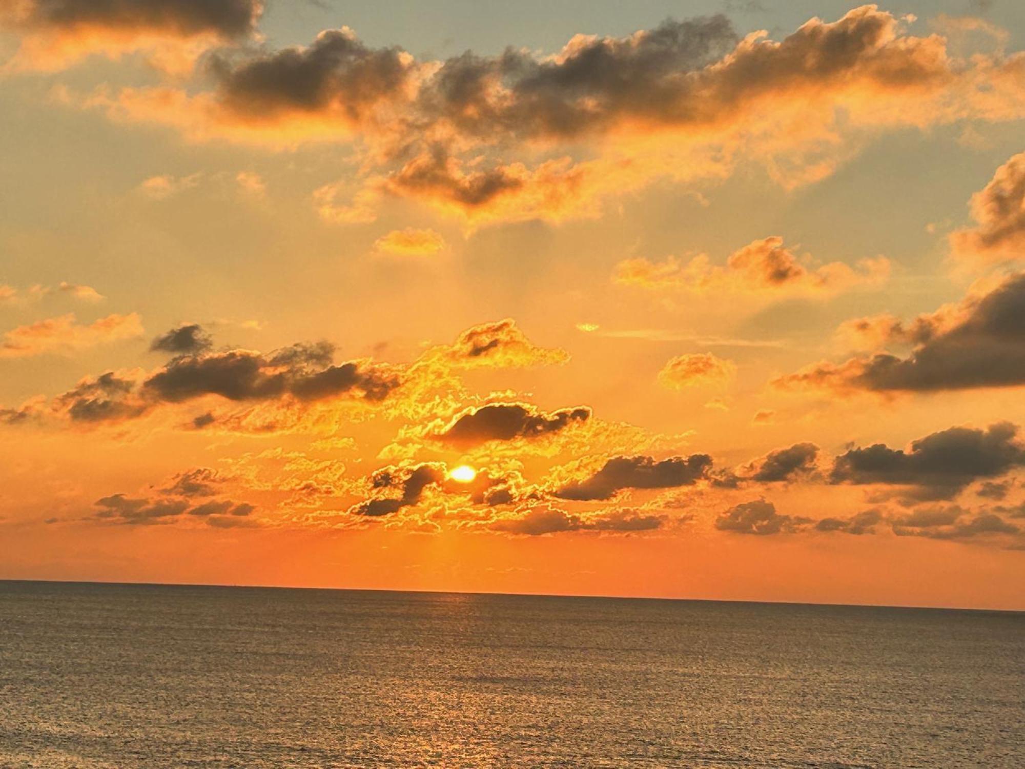 L'Oasi Una Pineta Sul Mare Custonaci Bagian luar foto
