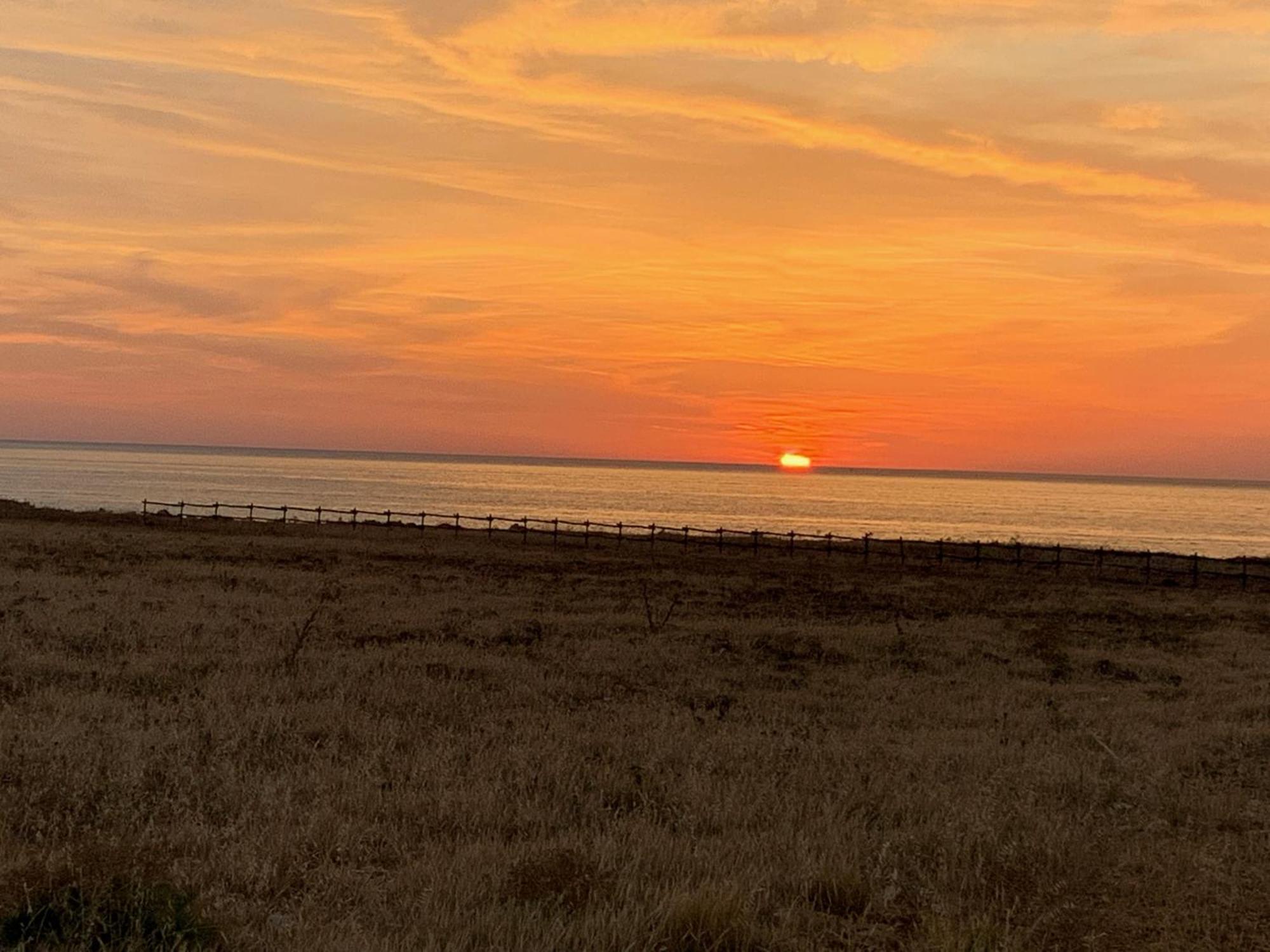 L'Oasi Una Pineta Sul Mare Custonaci Bagian luar foto